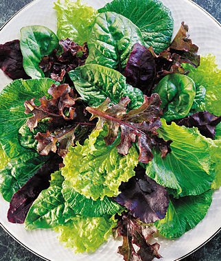 Mesclun Sweet Salad Mix