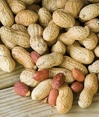 Peanut, Jumbo Virginia - Plants Seeds