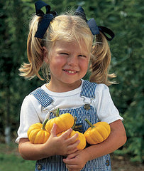 Pumpkin, Jack Be Little - Plants Seeds