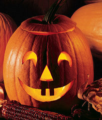 Pumpkin, Jack O' Lantern - Plants Seeds