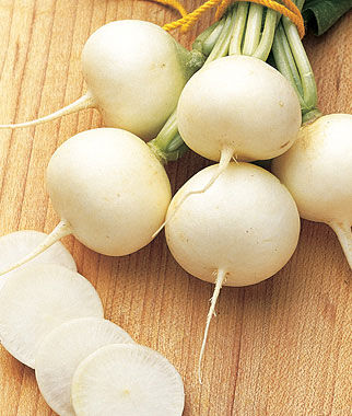 Radish, Burpee White - Plants Seeds