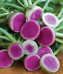 Radish, Watermelon - Plants Seeds