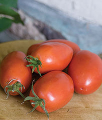 Tomato, Amish Paste Organic - Plants Seeds