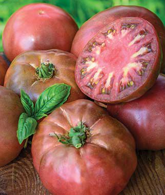 Tomato Black Krim Organic