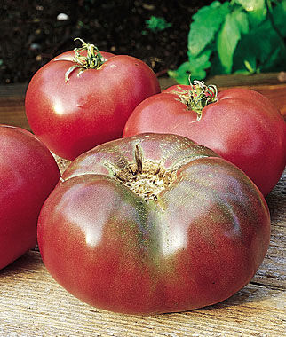 Tomato, Cherokee Purple - Plants Seeds