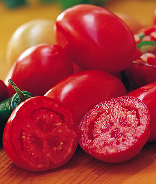 Tomato Fresh Salsa Hybrid
