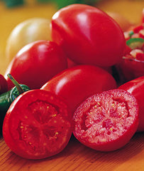 Tomato, Fresh Salsa Hybrid - Plants Seeds