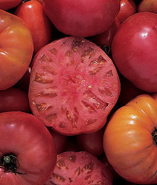 Tomato, Mortgage Lifter - Plants Seeds
