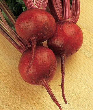 Beet, Burpee's Red Ball - Plants Seeds