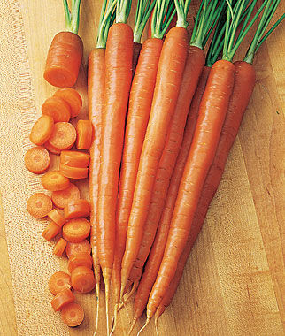 Carrot, Burpee A#1 Hybrid - Plants Seeds