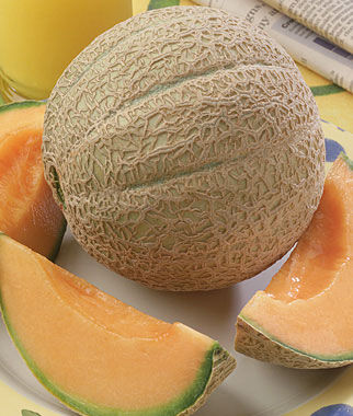 Cantaloupe, Hearts Of Gold - Plants Seeds