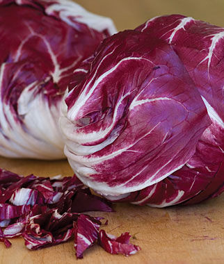 Radicchio Chicory Red Verona