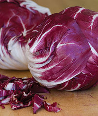 Radicchio, Chicory Red Verona - Plants Seeds