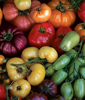 Tomato, Rainbow Blend Heirloom - Plants Seeds