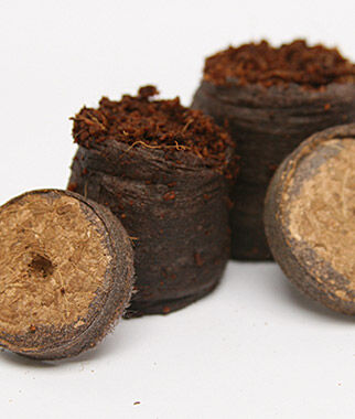 Netted Coir Pellets - Seedsplant