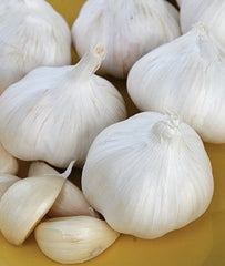 Garlic, Nootka Rose - Plants Seeds