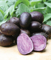 Potato, Purple Majesty - Plants Seeds