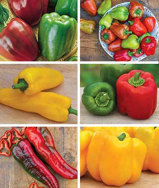 Pepper Madness Sweet Pepper Collection