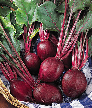 Beet, Detroit Supreme - Plants Seeds