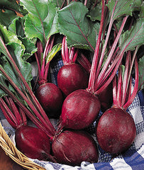 Beet, Detroit Supreme - Plants Seeds