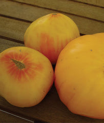 Tomato, Hillbilly, Regular Leaf - Plants Seeds