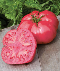 Tomato, Caspian Pink - Plants Seeds