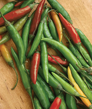 Pepper, Hot, Thai Hot - Plants Seeds