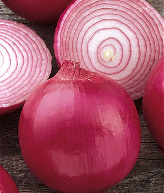 Onion, Red Creole - Plants Seeds