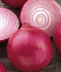 Onion, Red Creole - Plants Seeds