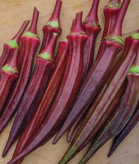 Okra, Burgundy - Plants Seeds