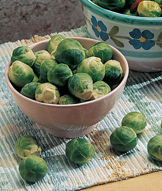 Brussels Sprouts, Catskill - Seedsplant