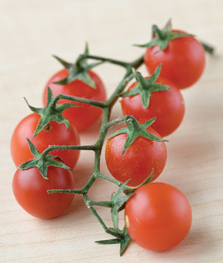 Tomato Red Currant