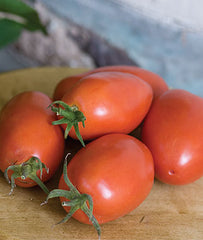 Tomato, Amish Paste - Plants Seeds