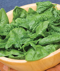 Spinach, Bloomsdale Long Standing Organic - Plants Seeds