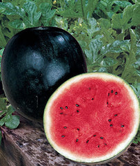 Watermelon, Sugar Baby Organic - Plants Seeds