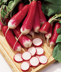 Radish, French Dressing - Plants Seeds