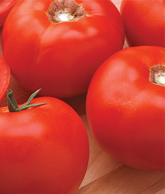 Tomato Queen of Hearts Hybrid Organic
