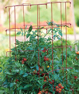 XL Pro Series Cage - Red - Plants Seeds