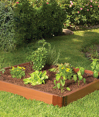 4'x4' Complete Single Level Raised Bed - Plants Seeds