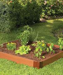 4'x4' Complete Single Level Raised Bed - Plants Seeds