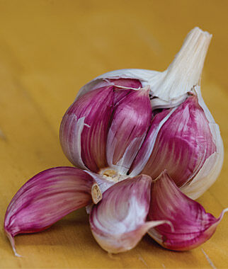 Garlic, Ajo Rojo - Plants Seeds