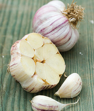 Garlic, Sonoran - Plants Seeds