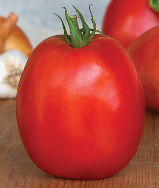Tomato SuperSauce Hybrid