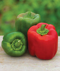 Pepper, Sweet, Candy Apple Hybrid - Plants Seeds