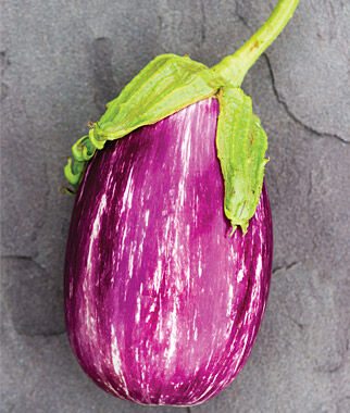 Eggplant, Shooting Stars - Plants Seeds