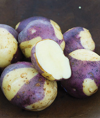 Potato, Masquerade - Plants Seeds