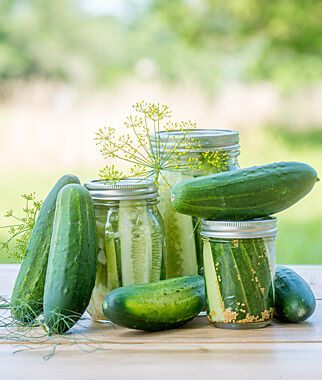 Cucumber Fresh Pickles Hybrid