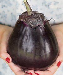 Eggplant, Meatball Hybrid - Plants Seeds