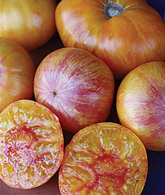 Tomato, Patty's Yellow Striped Beefsteak - Plants Seeds