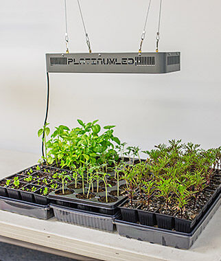 Platinum LED Grow Lights - Plants Seeds